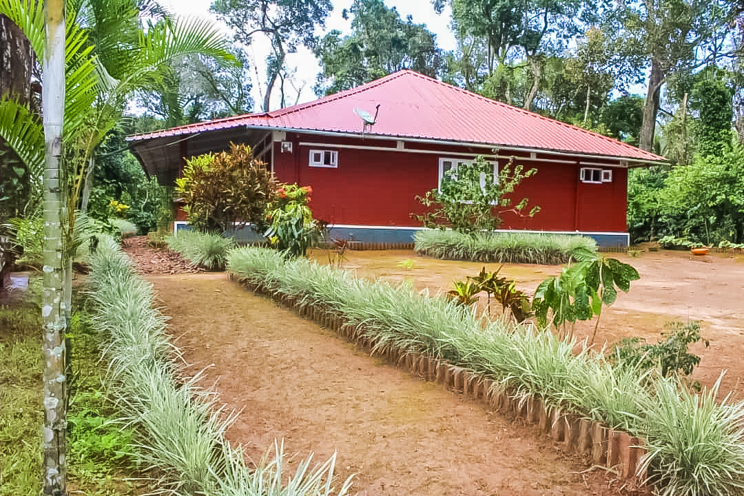 natures beauty homestead ground