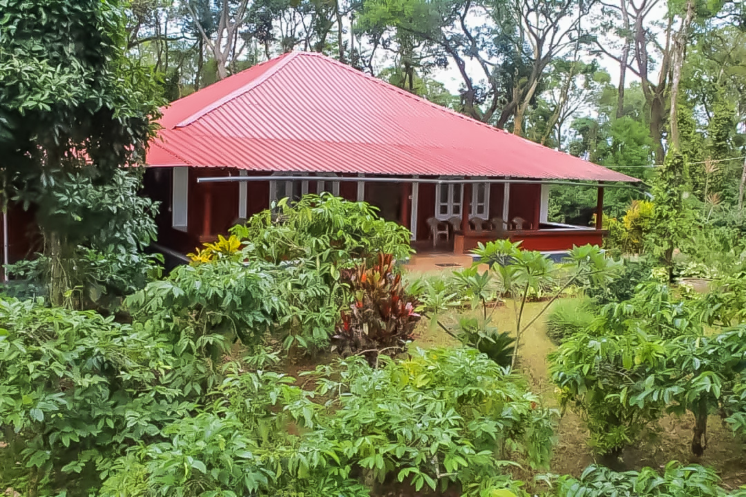 natures beauty homestead garden area