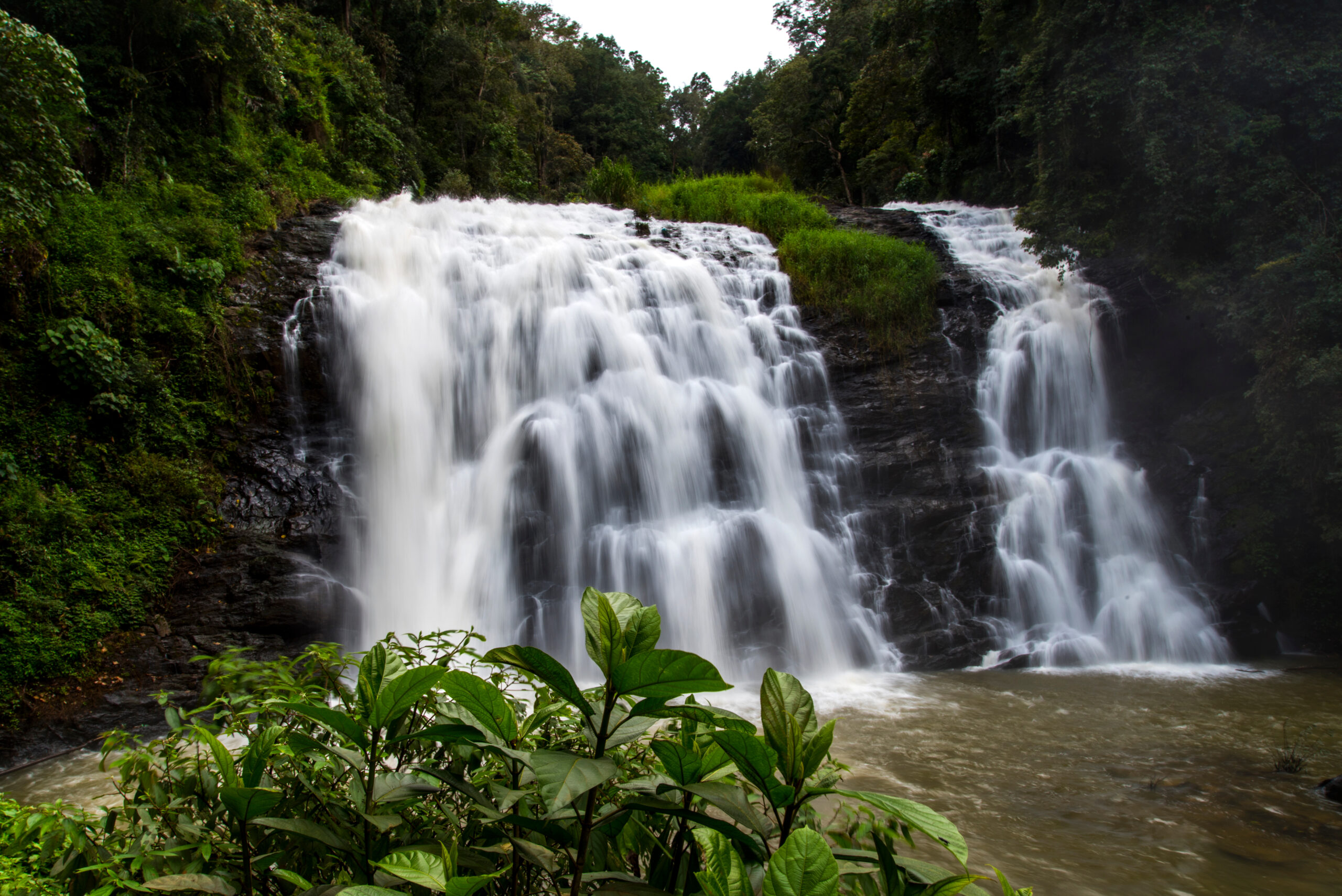 Abbey falls in the coorg region of KArnataka India